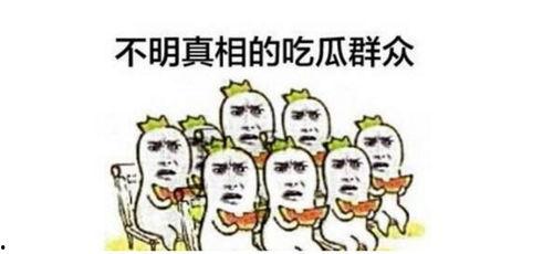 娱乐吃瓜群众1分队,揭秘娱乐圈幕后故事